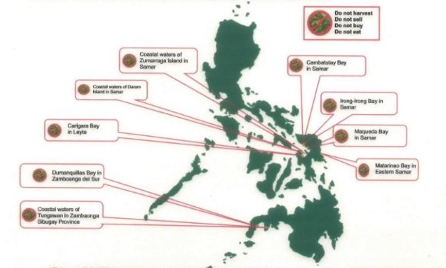 BFAR: 9 coastal waters, bays positive for toxic red tide