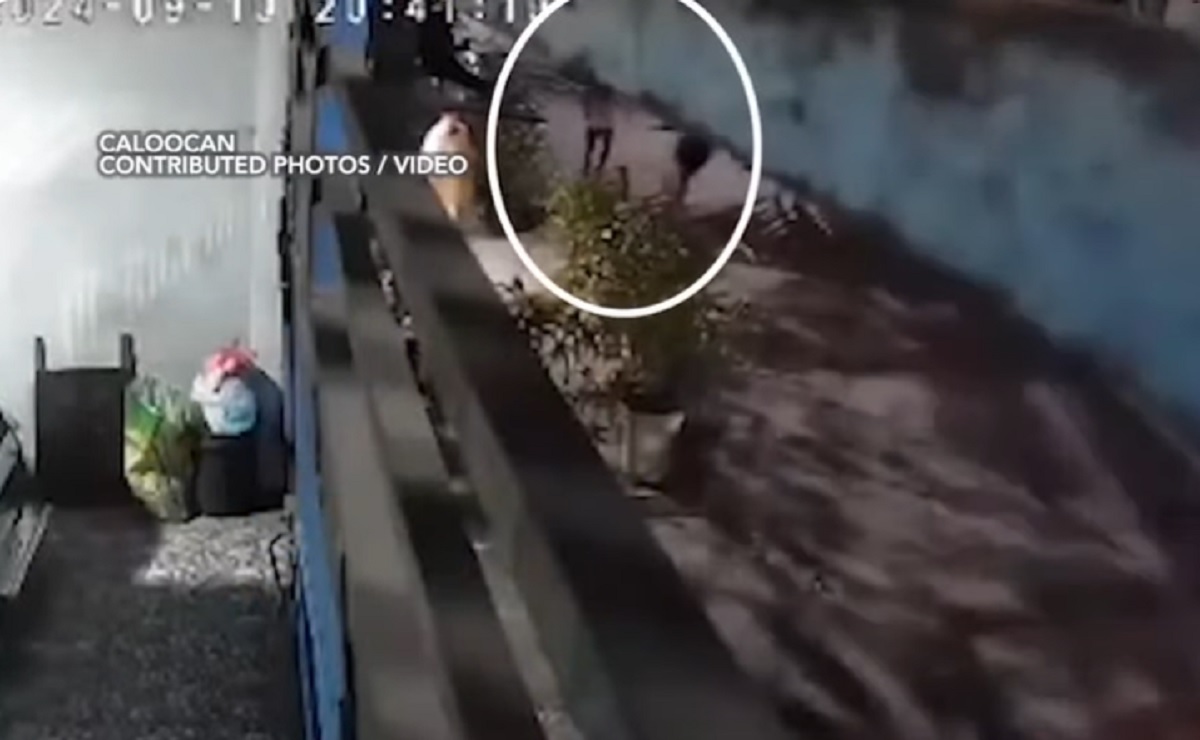 Tricycle driver, sugatan matapos bugbugin umano ng kapitbahay sa Caloocan thumbnail