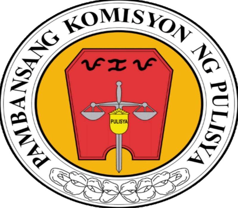 NAPOLCOM dismisses cop over sexually suggestive content on social media