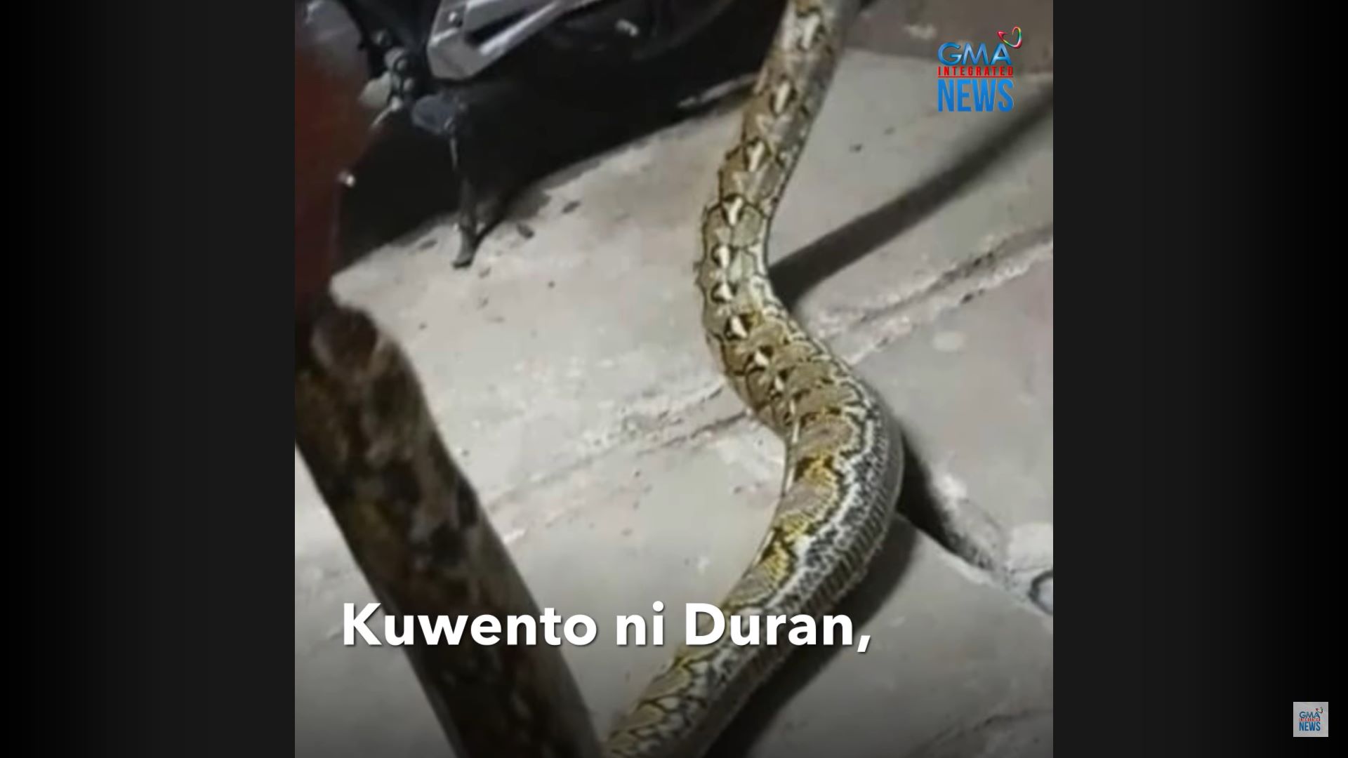 Lalaking may sinusungkit sa kisame, muntik mapahamak sa tuklaw ng ahas
 thumbnail