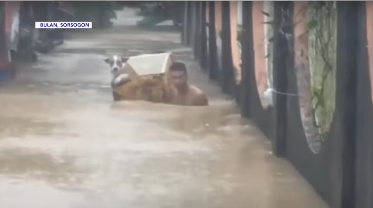 PETA urges pet owners to include animals in disaster plans during typhoon season