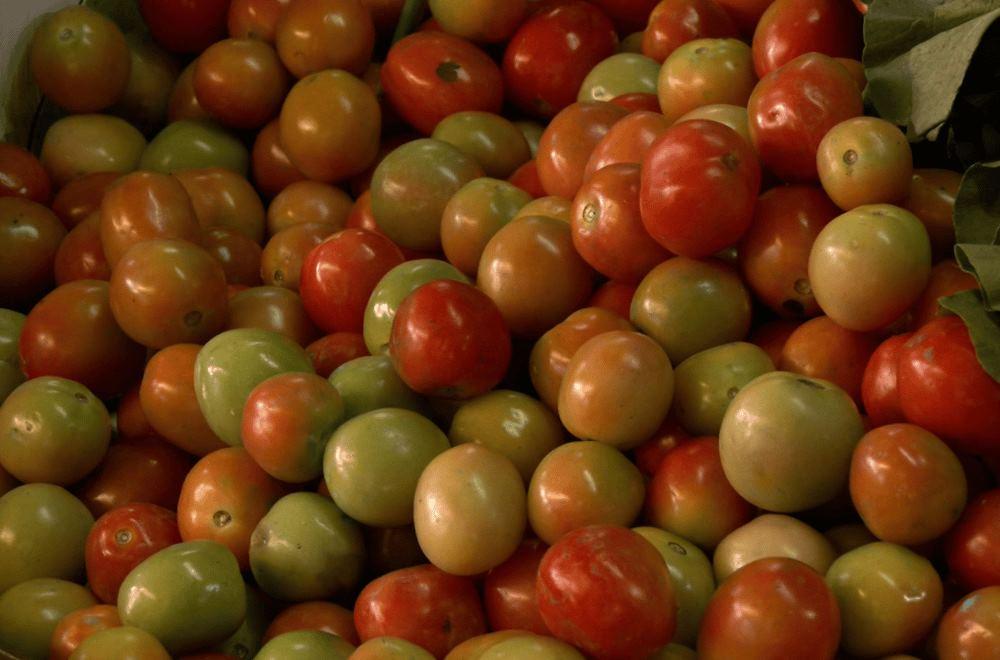 Tomatoes now go for P120 per kilo at Mangaldan Public Market in Pangasinan