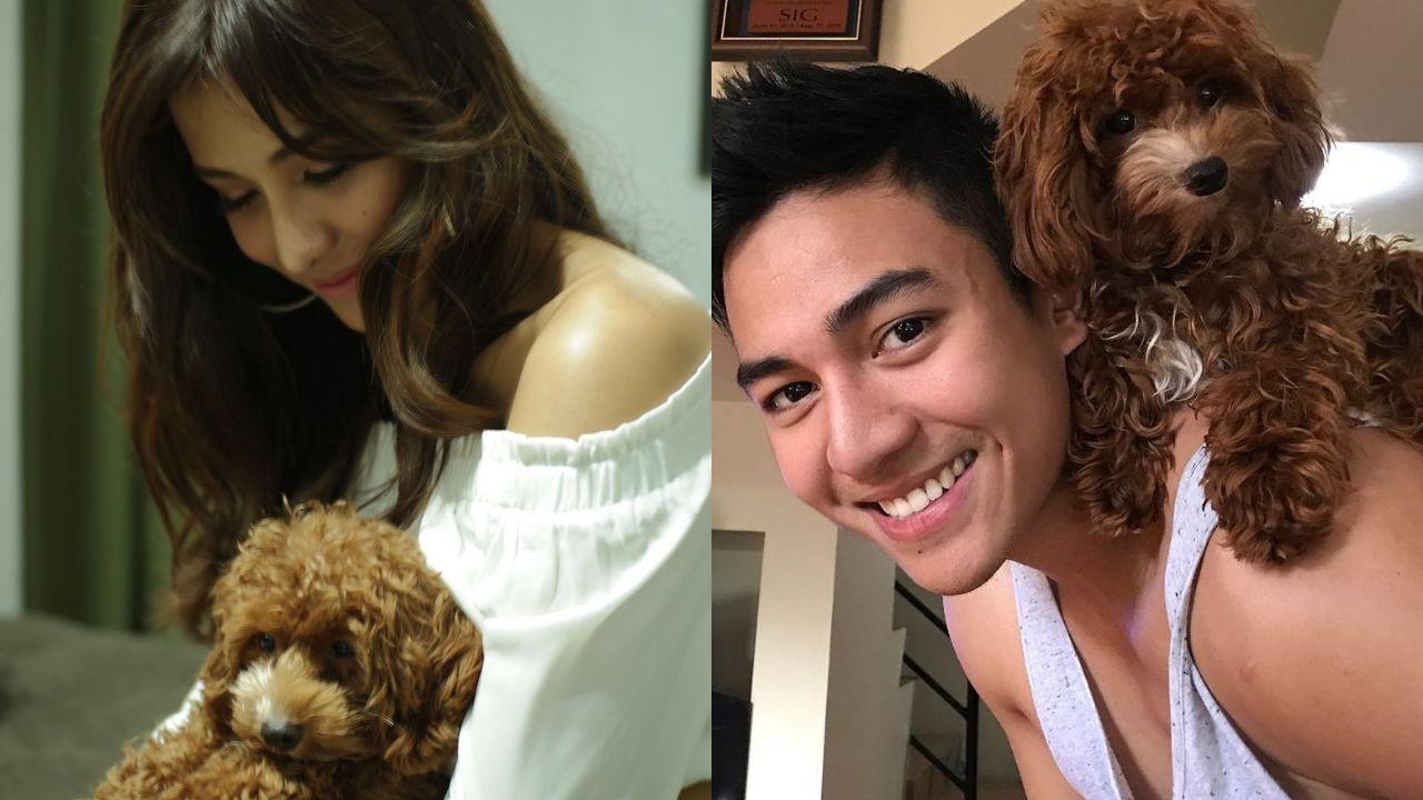 Sanya Lopez, Jak Roberto mourn passing of pet dog