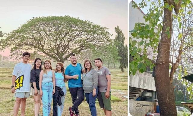 (L-R) Rubio with his family at the cemeteryâ€™s version of â€œTree of Hope,â€ the tree planted by Rubioâ€™s father more than a decade ago. Courtesy: JC Rubio