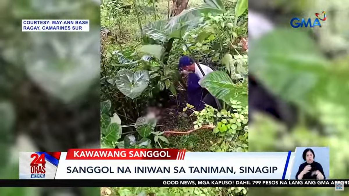 Abandoned baby found in Ragay, Camarines Sur