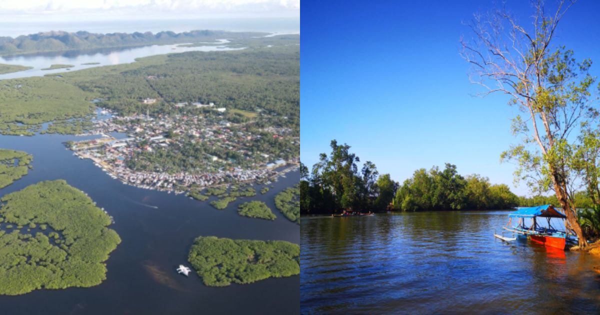 ramsar sites Sibugay and Del Carmen Siargao