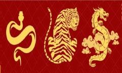 Alamin ang Chinese Zodiac forecast ngayong 2025 na Year of the Wooden Snake thumbnail