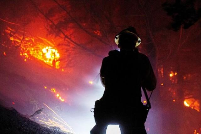 A firefighter battles the fire in the Angeles National Forest near Mt. Wilson as the wildfires burn in the Los Angeles area, during the Eaton Fire in Altadena, California, U.S. January 9, 2025. REUTERS/Ringo Chiu