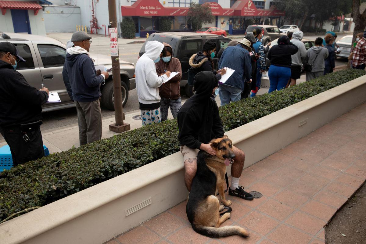 Animal rescuers care for LA fire evacuees --dogs, donkeys, horses