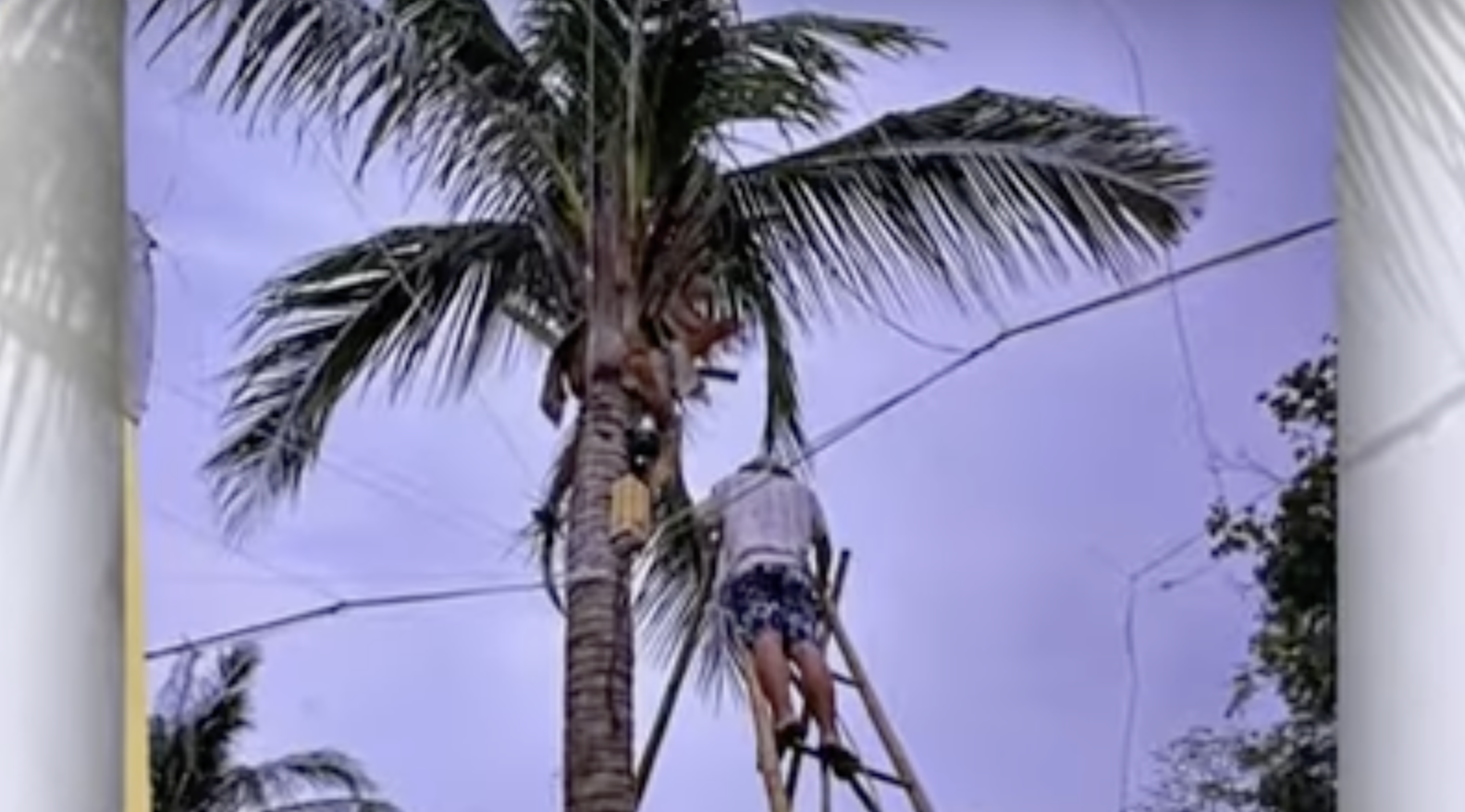 Suspected Chinese spies take videos of PCG ship in Palawan, nabbed