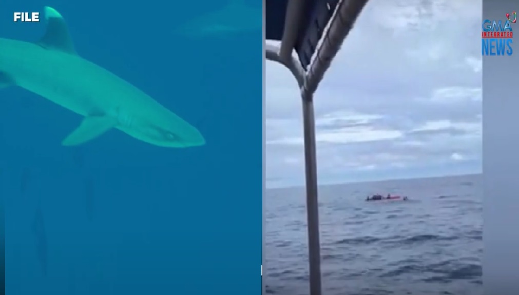 Grupo ng divers, 30 oras na nakababad sa dagat na may mga pating nang 'di sila sunduin ng bangka thumbnail