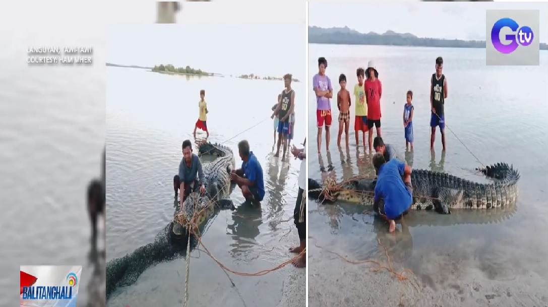 Dambuhalang buwaya, nahuli sa dalampasigan ng Tawi-Tawi thumbnail