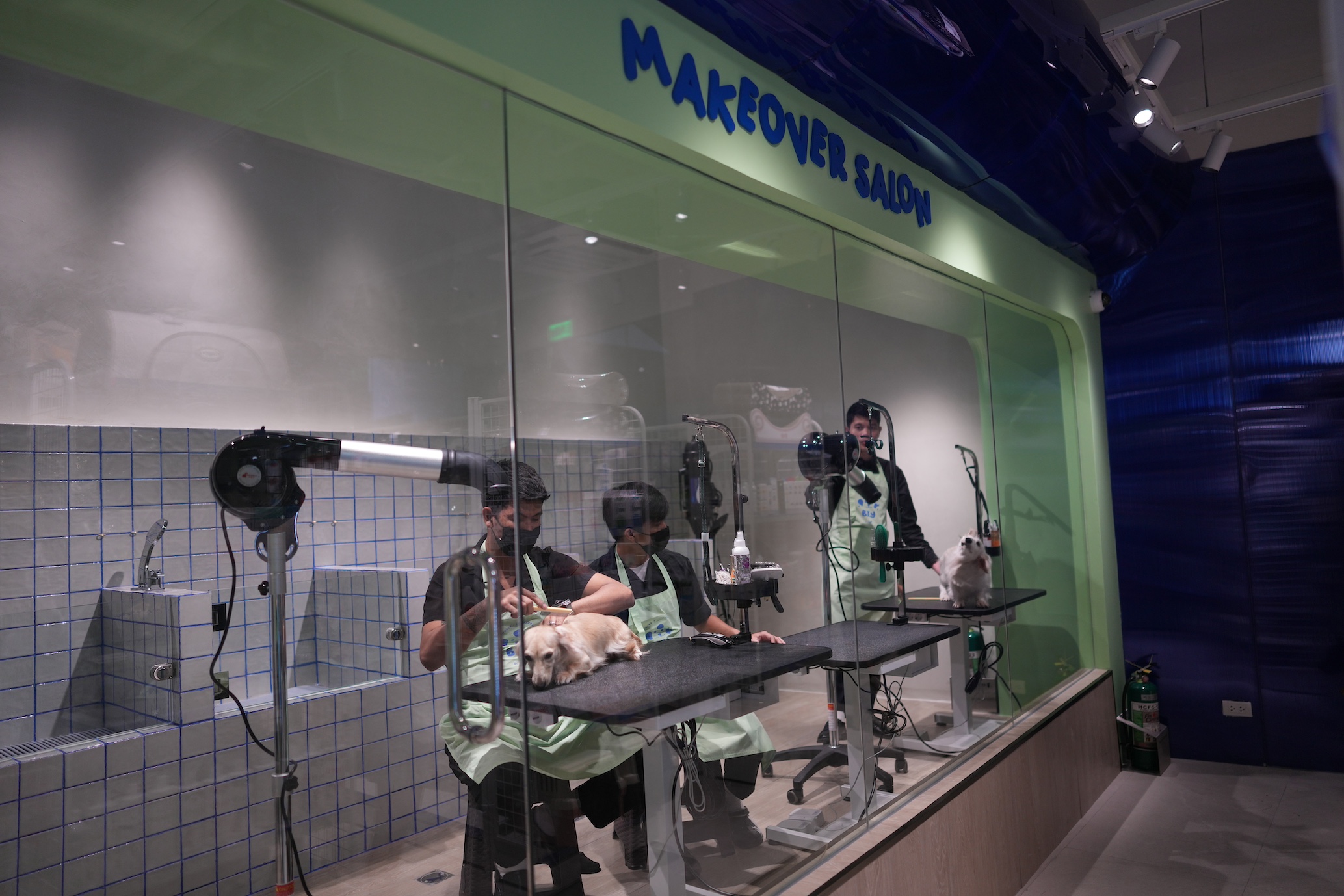 Pamper your pets for only P380 at this DIY pet bath kiosk in BGC