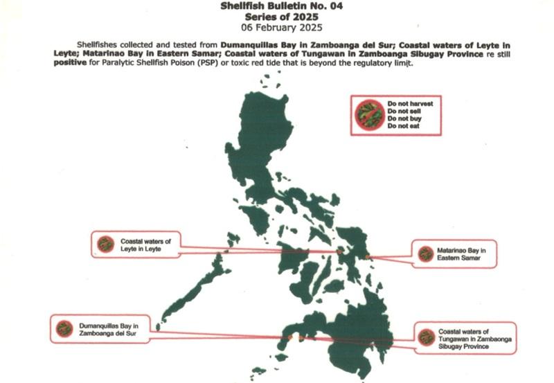 Toxic red tide detected in shellfish in four areas — BFAR