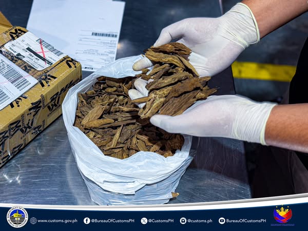 BOC seizes shipment with P750k worth of rare agarwood