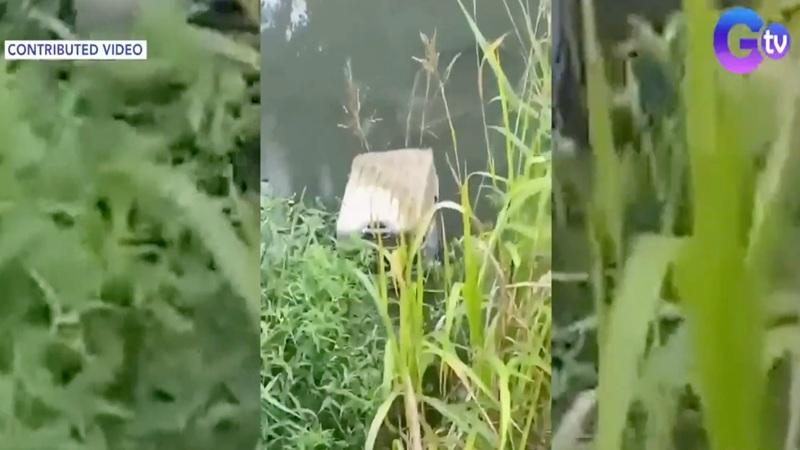 Woman found dead inside luggage in Bulacan