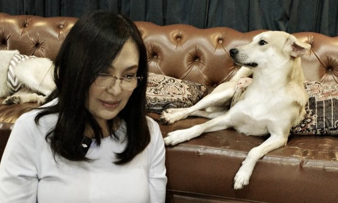 Sharon Cuneta adopts a rescue 