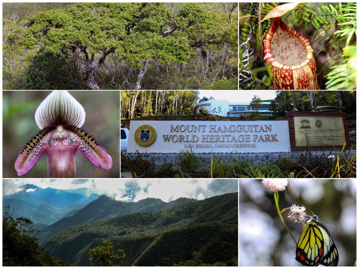 Trekking activities resume at Mt. Hamiguitan in Davao Oriental