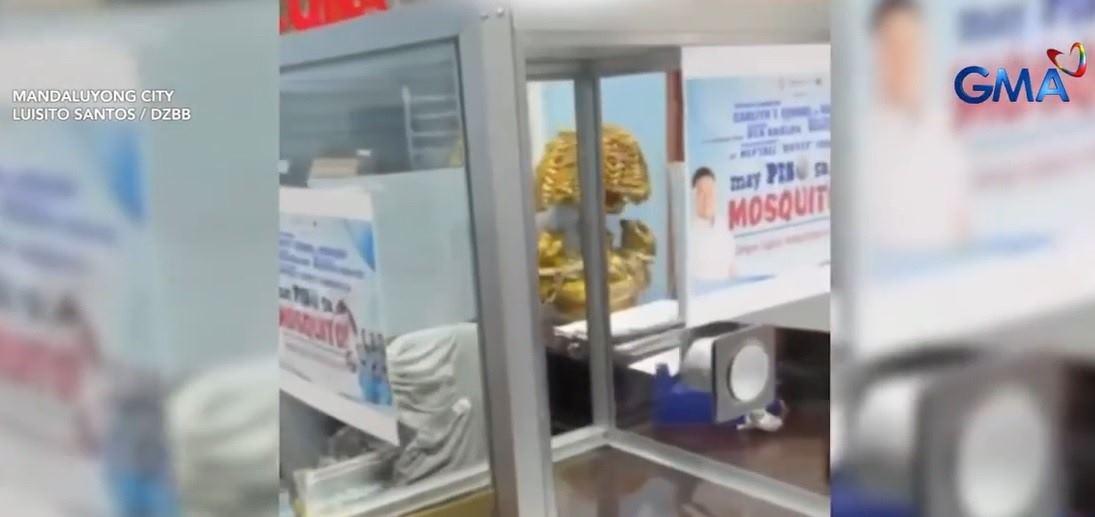 P1 reward per mosquito, larva offered in Mandaluyong barangay to combat dengue