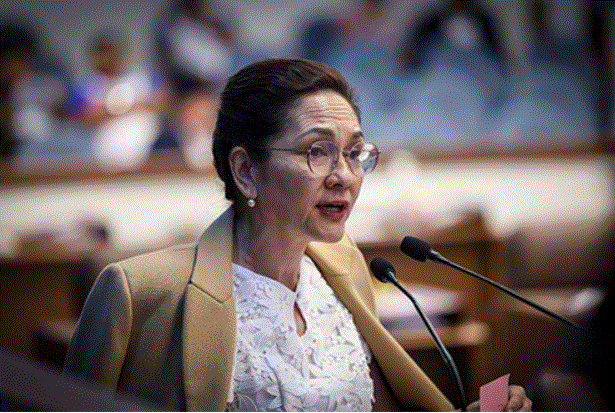 Hontiveros to Comelec: Ensure smooth 2025 elections