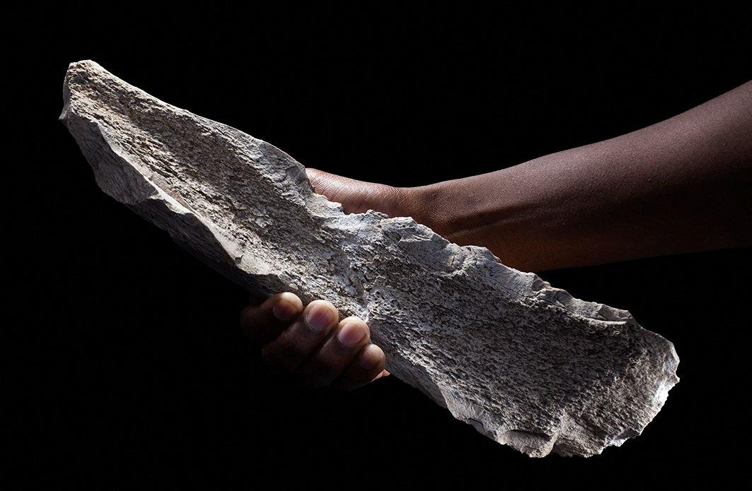 Human ancestors making 'bone tech' 1.5 million years ago, say scientists