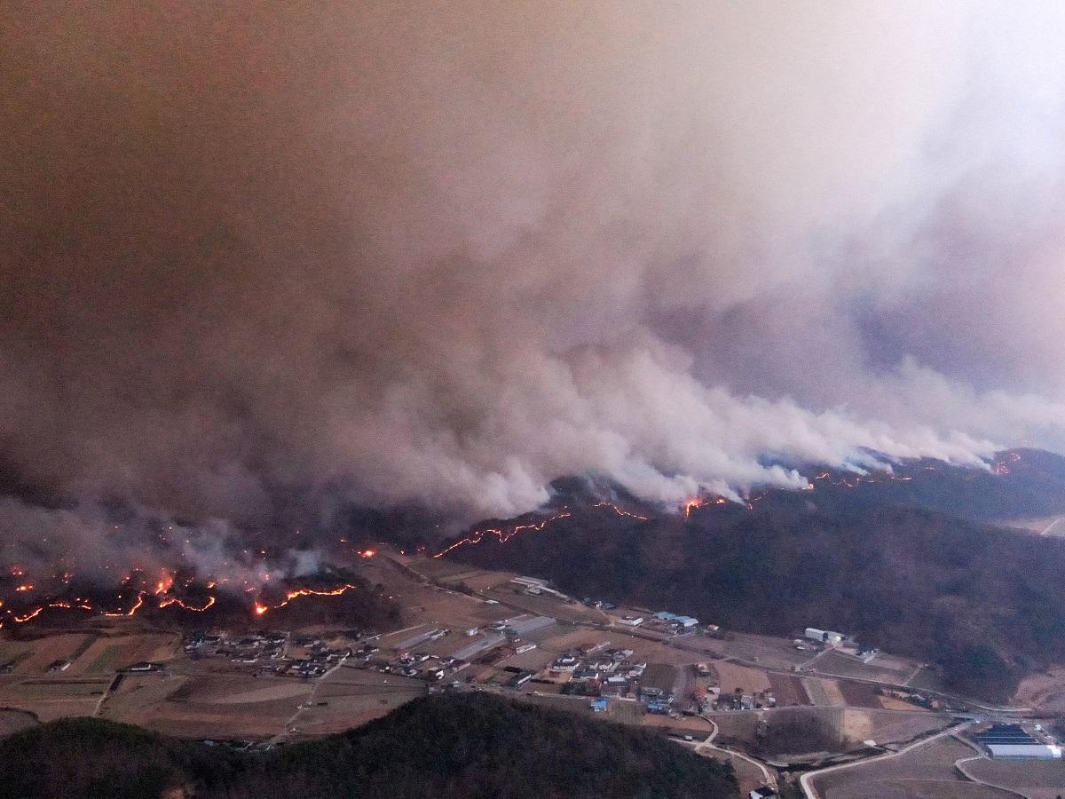 South Korea wildfires death toll now 24; pilot killed as firefighting helicopter crashes