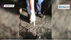 Magbayaw, patay matapos na magbarilan sa Negros Occidental  thumbnail