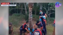 Lalaking aksidenteng napana ang sarili sa mata sa Negros, nasawi thumbnail