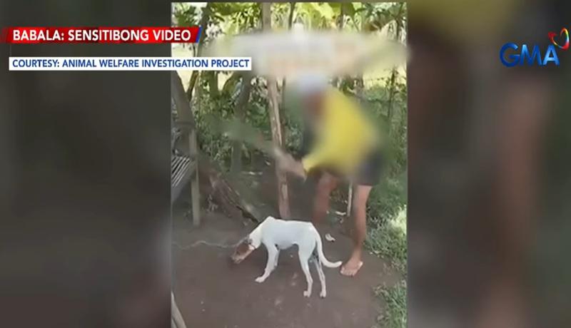 Man faces charges for beating dog to death ‘for online views’ | GMA ...