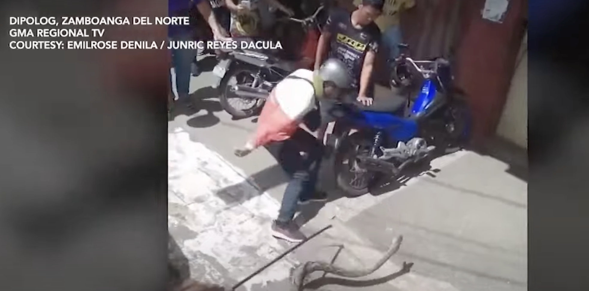 Sawa na mahigit 5 talampakan ang haba, nakita sa ilalim ng SUV; 1 lalaki, natuklaw