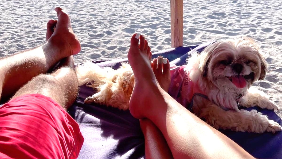 Some Filipino couples prefer pets over babies due to economic reasons — CPD thumbnail