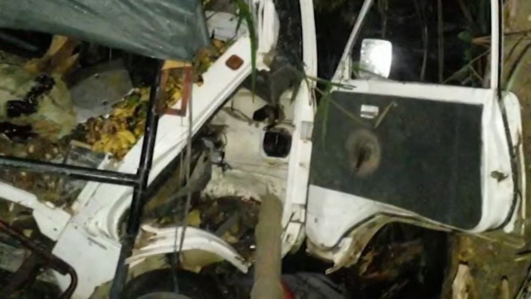 Driver dead after multicab hits tree in Valencia, Negros Oriental