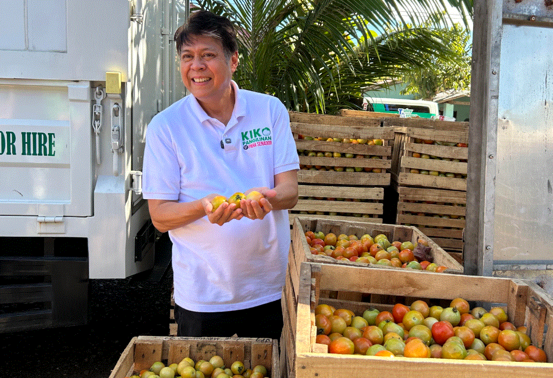 Kiko Pangilinan wants SRP on tomatoes amid oversupply woes 