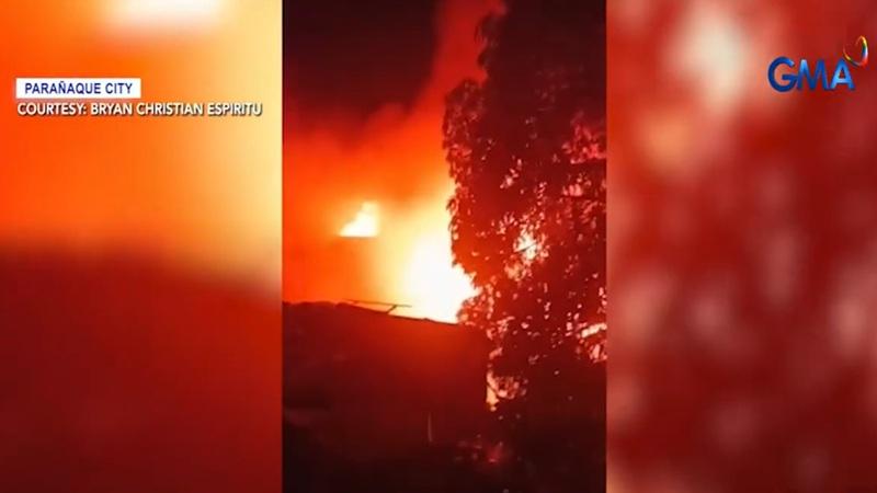 6 dogs killed in Parañaque fire
