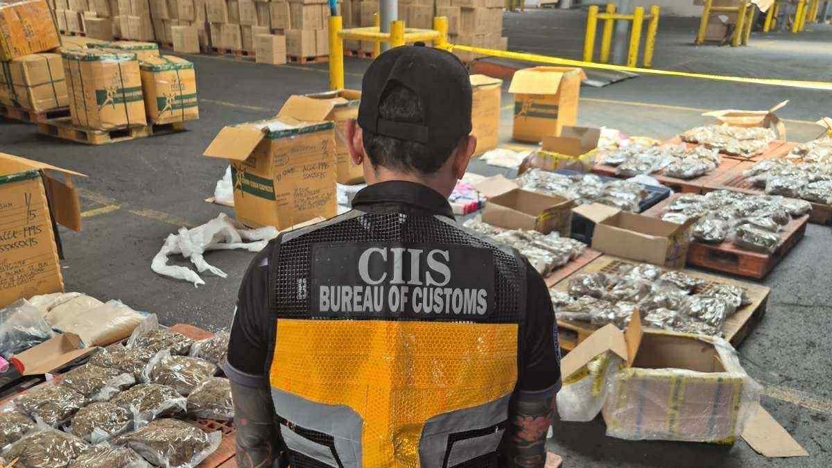 P101-M marijuana shipment from Thailand seized — Customs