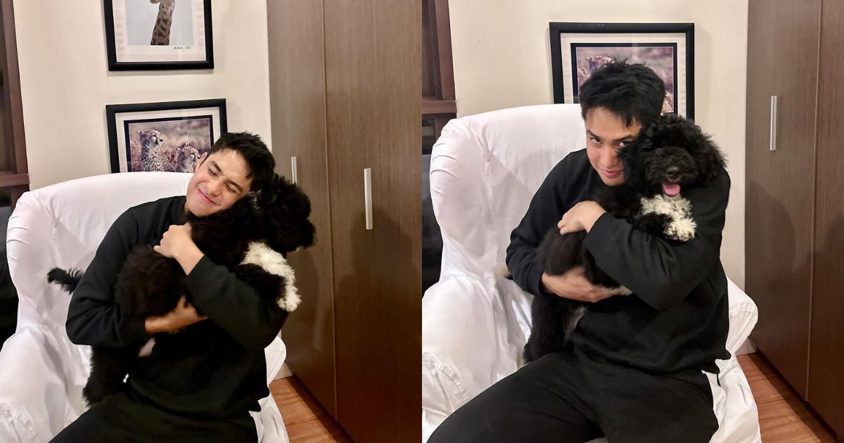 Donny Pangilinan's dog Crinkles enters 'Pinoy Big Brother' house