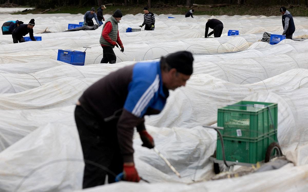 Foreign workers a key driver of euro zone growth, say ECB economists