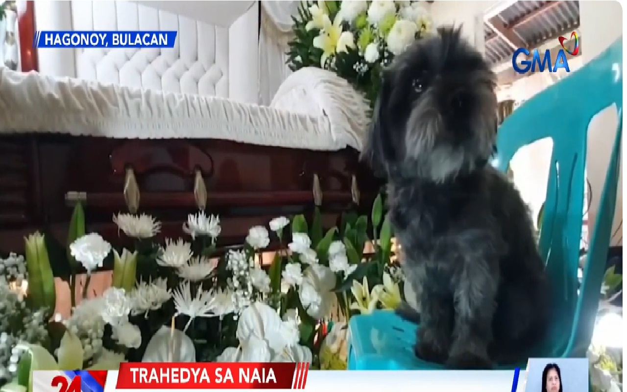 1 pang nasawi sa NAIA SUV crash, nakaburol na sa Bulacan; aso niya, tila ayaw umalis sa tabi ng kaniyang ataul thumbnail