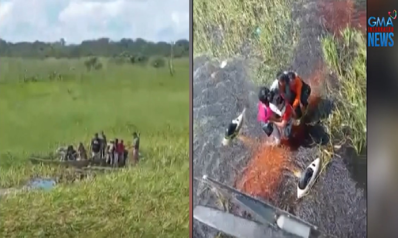 Eroplano na may 5 sakay, nag-emergency landing sa swamp na may mga buwaya sa Bolivia thumbnail