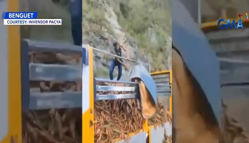 Farmers dump up to 5 tons of unsold carrots in Benguet