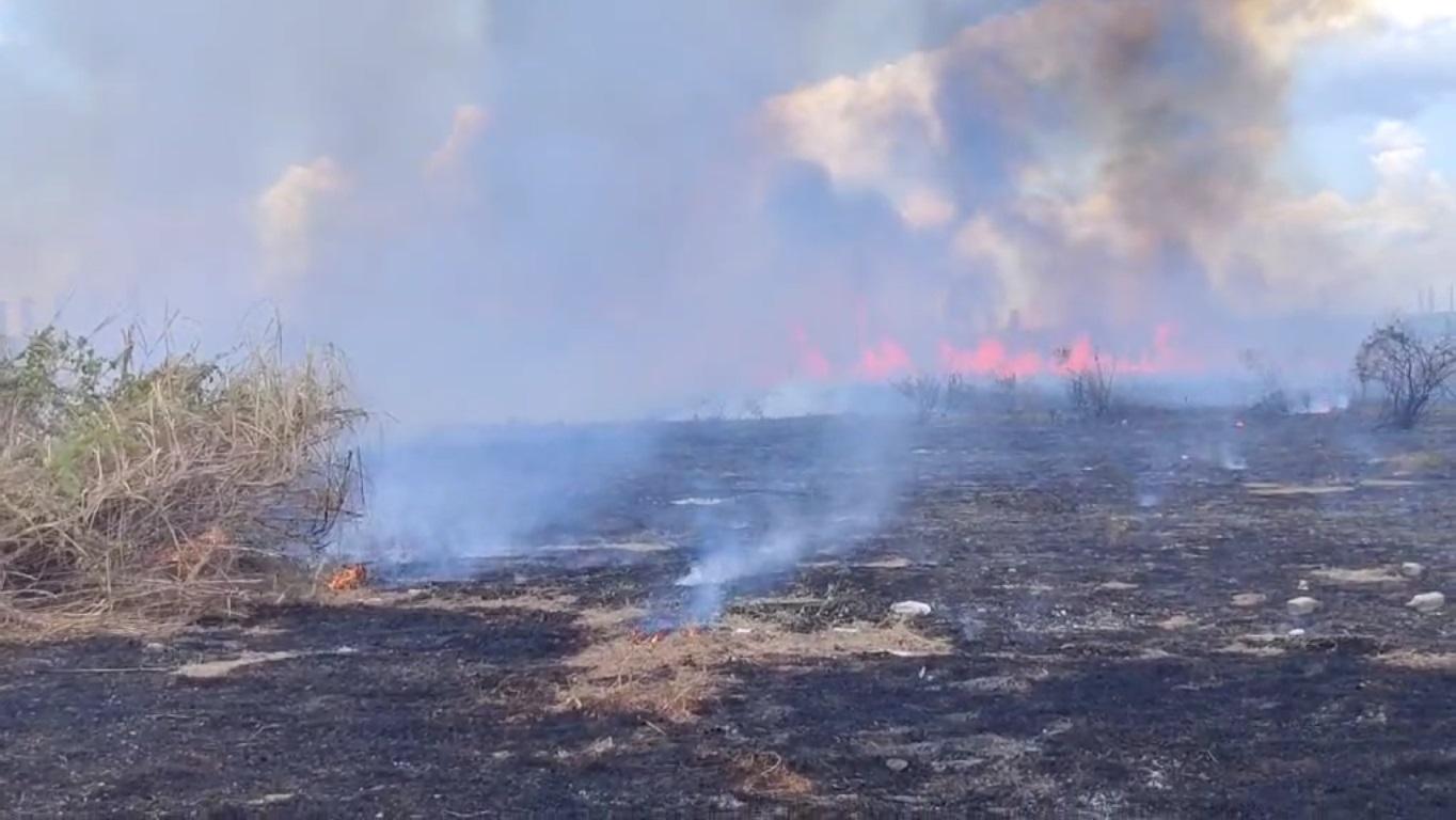 20-hectare grass fire breaks out at Batangas Port