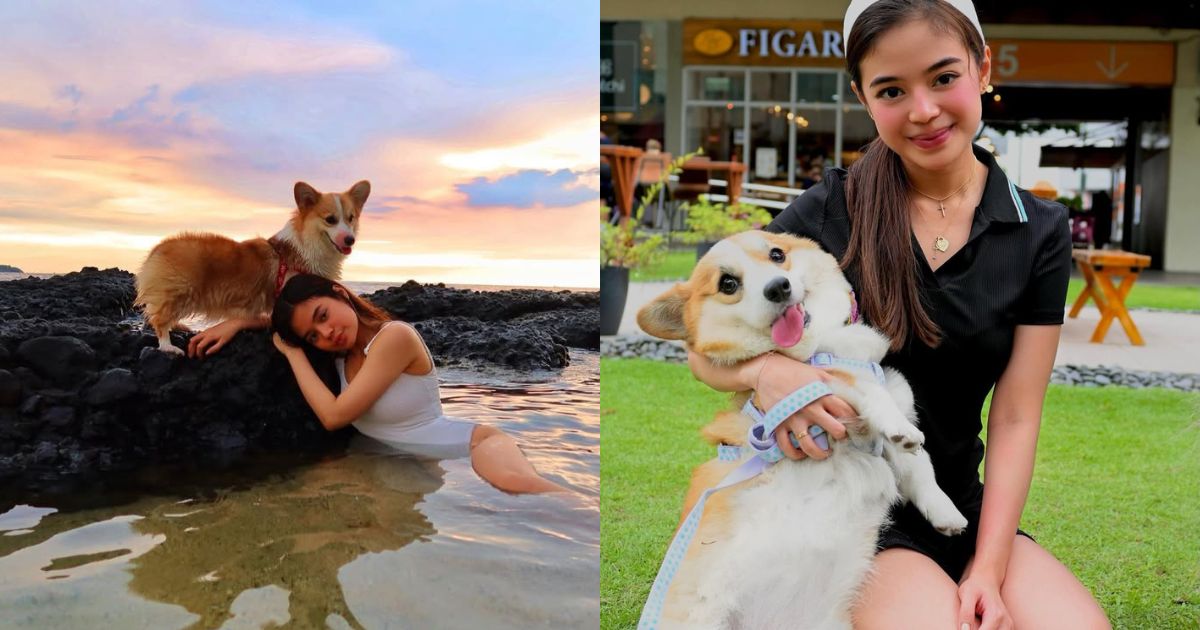 Bianca De Vera gets informed about her dog Peach's critical condition