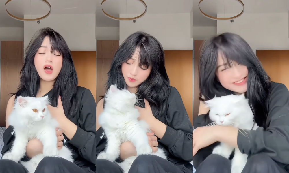 Jillian Ward does the Kim Seon Ho trend with her cat