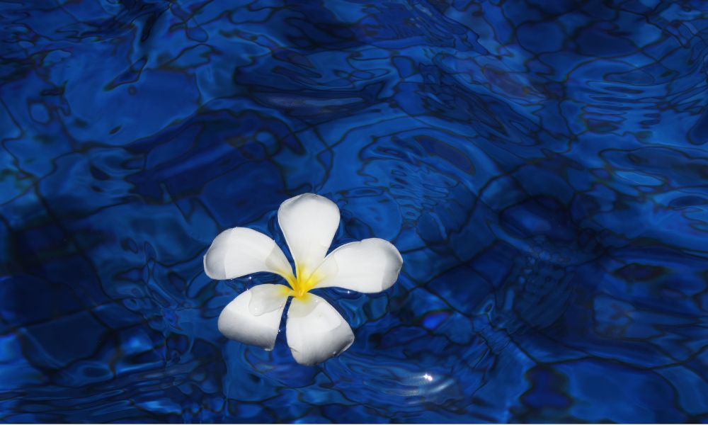 'Own your pleasure': The case for lubricants