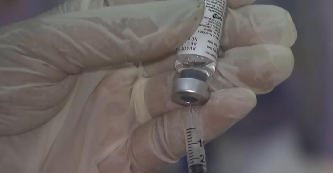 Animal bite cases in Region 1 soar to over 62,000