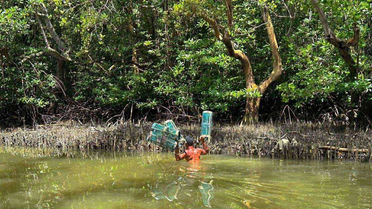 Diminishing mangrove forests in Davao City spark concerns_Courtesy GMA Regional TV One Mindanao_20250627