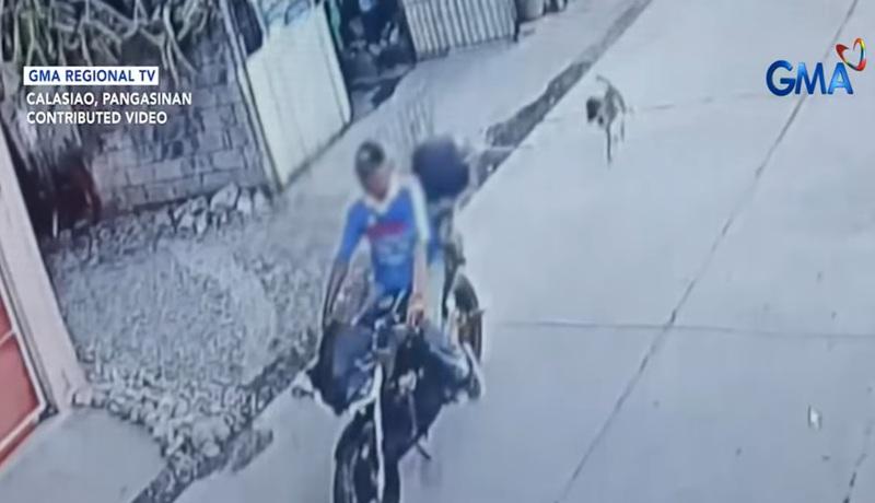Senior who dragged dog in Pangasinan identified; pet survives