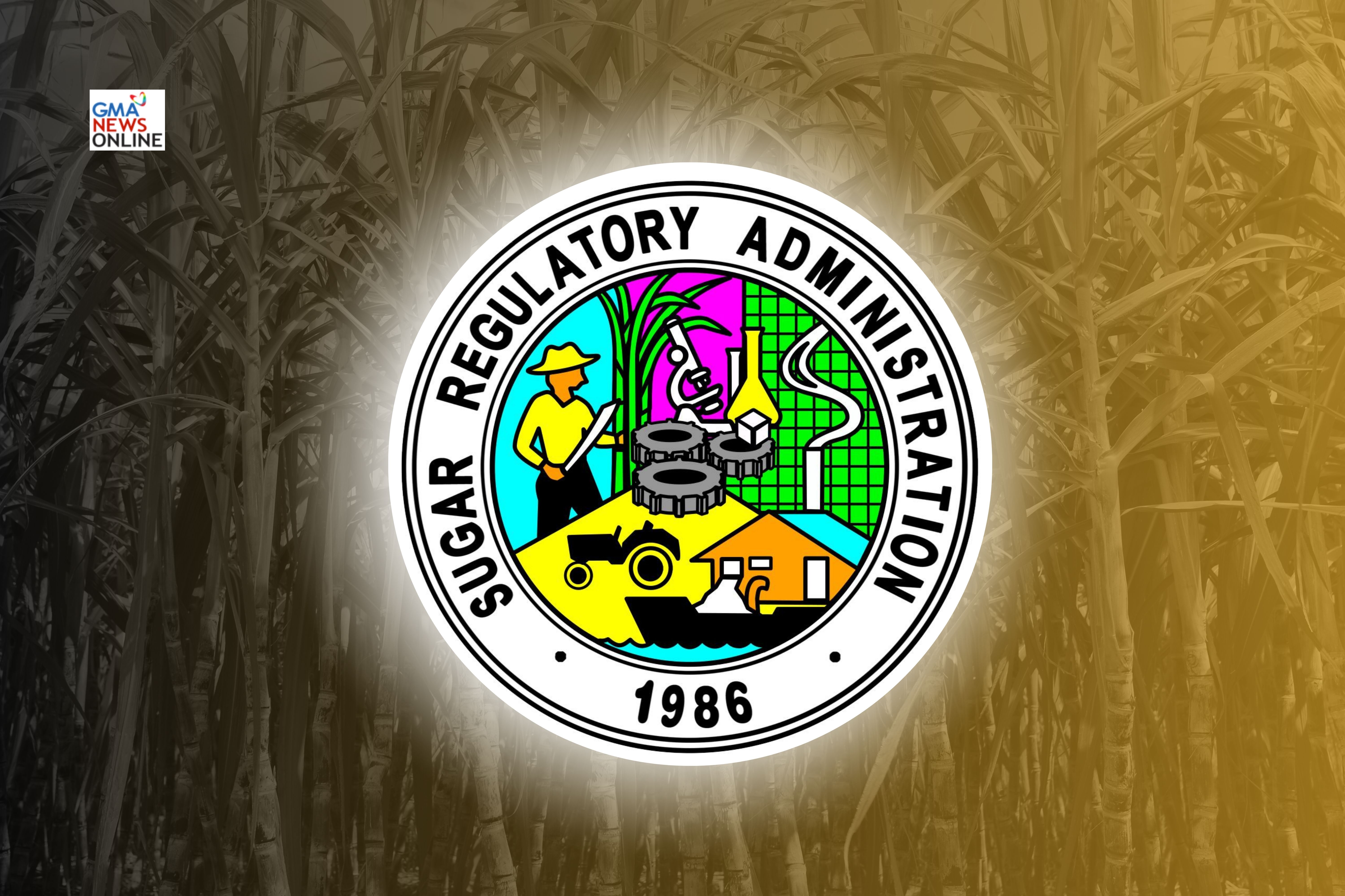 Pest infestation expands to 1,505 hectares of sugar farms --SRA