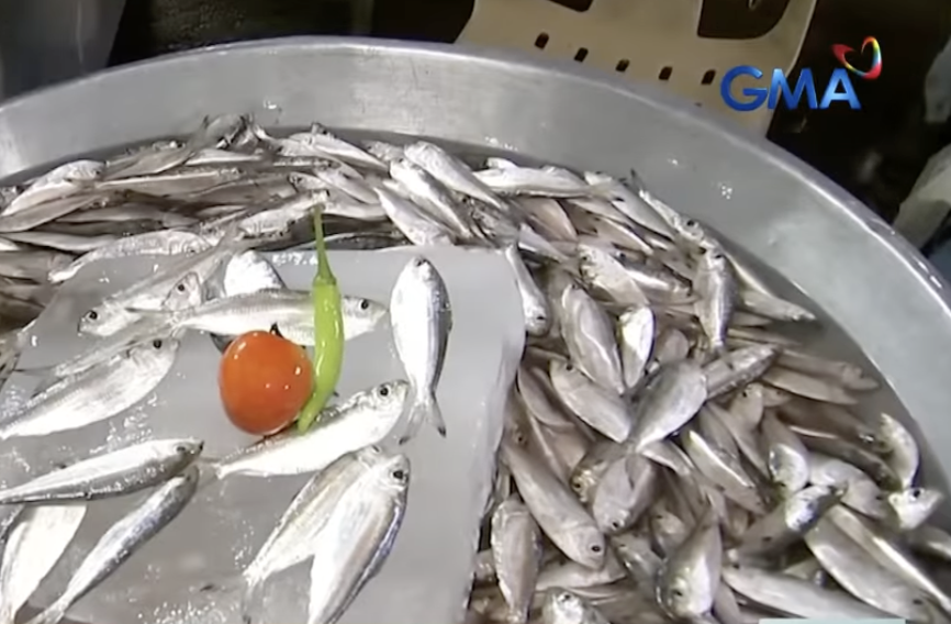 Tawilis from Taal Lake safe to eat, says BFAR