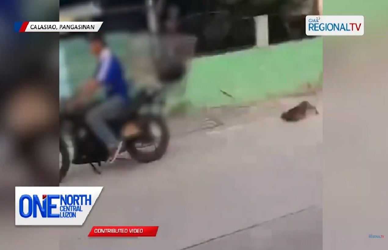 Pagkaladkad ng rider sa asong itinali sa motorsiklo, kinondena